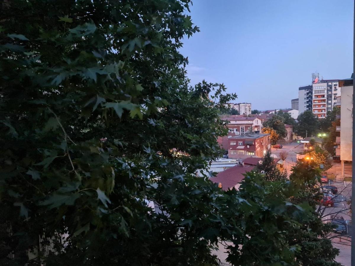 Center Cosy Apartment Σκόπια Εξωτερικό φωτογραφία